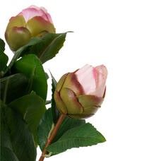 Tallo de Camelia Artificial Rosa Claro con Capullos - Imagen 4